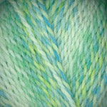 Load image into Gallery viewer, Encore Dynamo (Plymouth Yarn)