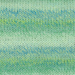 Load image into Gallery viewer, Encore Dynamo (Plymouth Yarn)