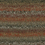 Load image into Gallery viewer, Encore Dynamo (Plymouth Yarn)