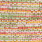 Load image into Gallery viewer, Dreambaby DK Paintpot (Plymouth Yarn)