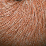 Load image into Gallery viewer, Moon Shadow (Plymouth Yarn)