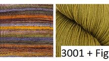 Load image into Gallery viewer, Butterfly Cowl Kit (Urth Yarns)