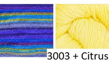 Load image into Gallery viewer, Butterfly Cowl Kit (Urth Yarns)