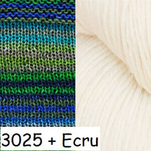 Load image into Gallery viewer, Butterfly/Papillon Kit (Urth Yarns)