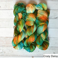 Load image into Gallery viewer, Addy Sock (Brediculous Hand Dyed Yarn)