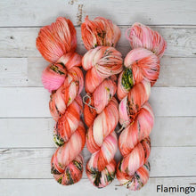 Load image into Gallery viewer, Addy Sock (Brediculous Hand Dyed Yarn)