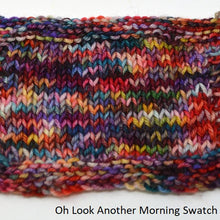 Load image into Gallery viewer, Addy Sock (Brediculous Hand Dyed Yarn)