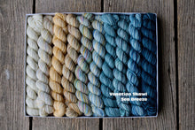 Load image into Gallery viewer, Petale de Rose Wrap Yarn Kit (Koigu)