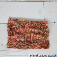 Load image into Gallery viewer, Addy Sock (Brediculous Hand Dyed Yarn)
