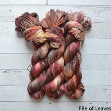 Load image into Gallery viewer, Addy Sock (Brediculous Hand Dyed Yarn)