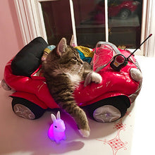 Load image into Gallery viewer, The Secret Life of Cats (and dogz) Pattern (Casapinka)
