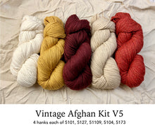 Load image into Gallery viewer, Vintage Afghan by Norah Gaughan (Berroco)