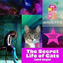 Load image into Gallery viewer, The Secret Life of Cats (and dogz) Pattern (Casapinka)