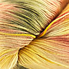 Heritage Silk Paints (Cascade Yarns)
