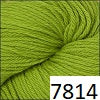 Cascade 220 (Cascade Yarns)