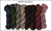 Load image into Gallery viewer, Mary Ann Mini-Skein 8 Pack (Wonderland Yarns)
