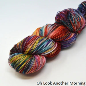Addy Sock (Brediculous Hand Dyed Yarn)
