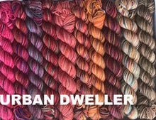 Load image into Gallery viewer, Pencil Box (Koigu)
