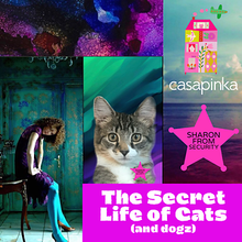 Load image into Gallery viewer, The Secret Life of Cats (and dogz) Pattern (Casapinka)
