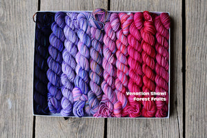 Petale de Rose Wrap Yarn Kit (Koigu)